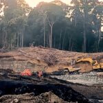 1745340791374_copy_800x519