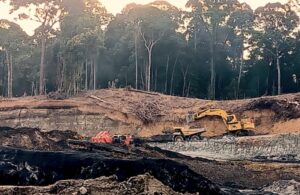 1745340791374_copy_800x519