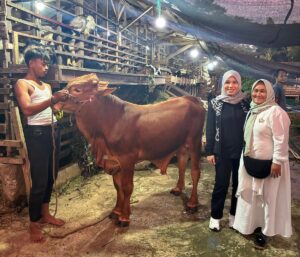 Anggota DPR RI Tommy Kurniawan melalui timnya salurkan bantuan puluhan hewan kurban di Kabupaten Bogor, Jawa Barat. (Foto: Jurnal IDN).